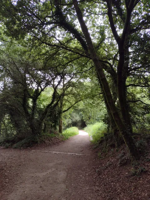Camino complementario Conxo Santa Marta (Camino de Santiago Portugués Tramo Padrón-Santiago)
