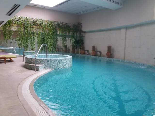 Wellness Centar Mona Zlatibor