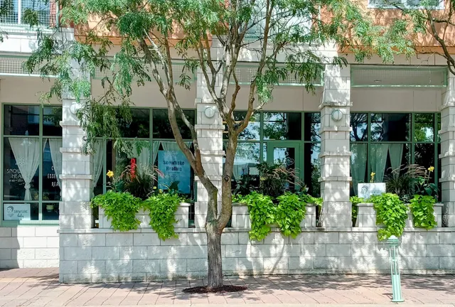 Snowflake Healing mind body spirit