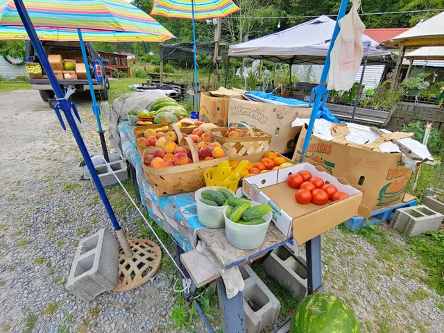 Stoots Nursery & Produce