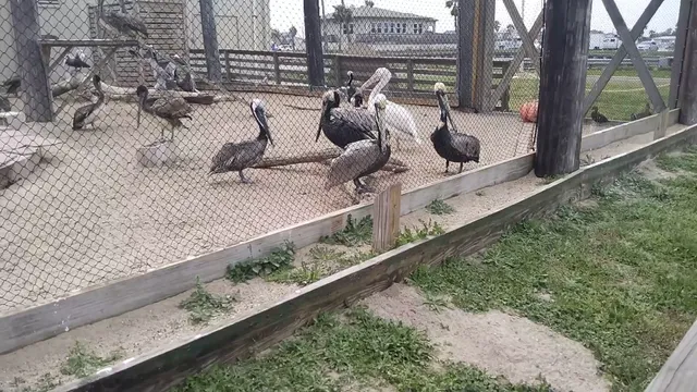 Port Aransas Civic Center