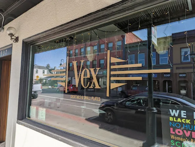 VEx - The Vietnam Experience