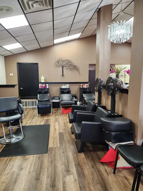 Studio 9 hair designs