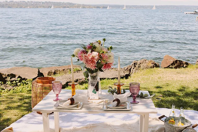 Picnic Party Seattle