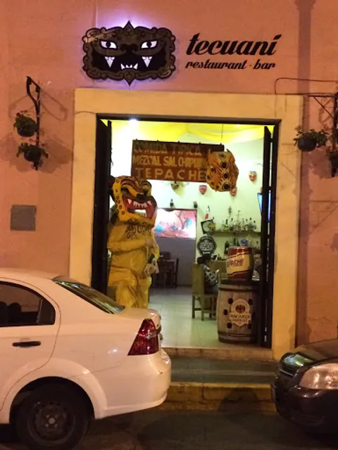 Tecuani