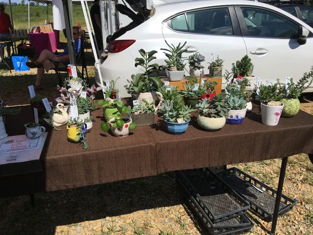 Albemarle Farmers & Artisans Market