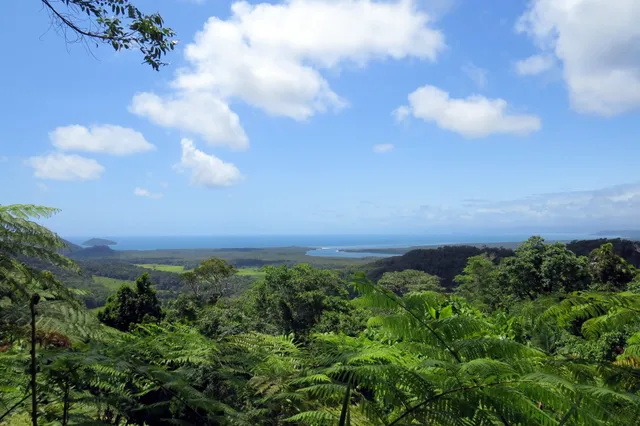 Tony's Tropical Tours