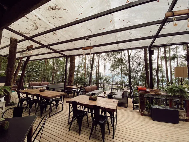 El Bosque era Rosado