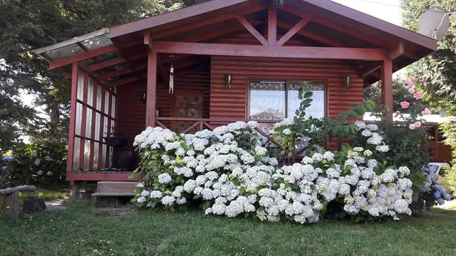 Cabañas Madreselva Pucón