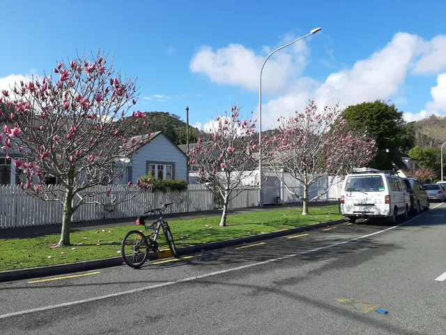 Mid City Motor Lodge