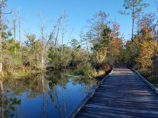 Alligator River National Wildlife Refuge