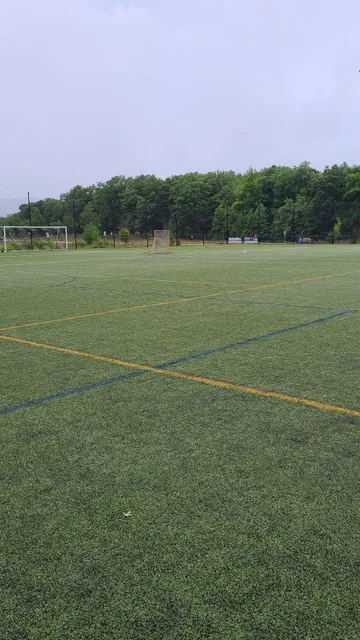 Capelli sport field 5