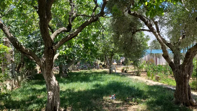 Kiki's Cozy Appartments