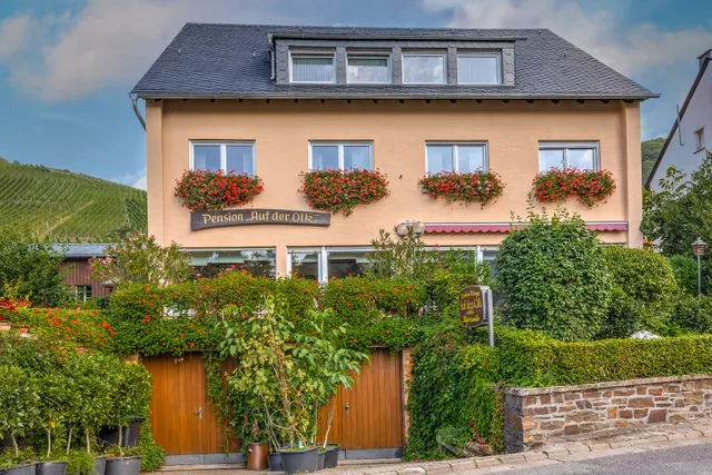 Pension-Weingut "Auf der Olk" mit Röpertsmühle