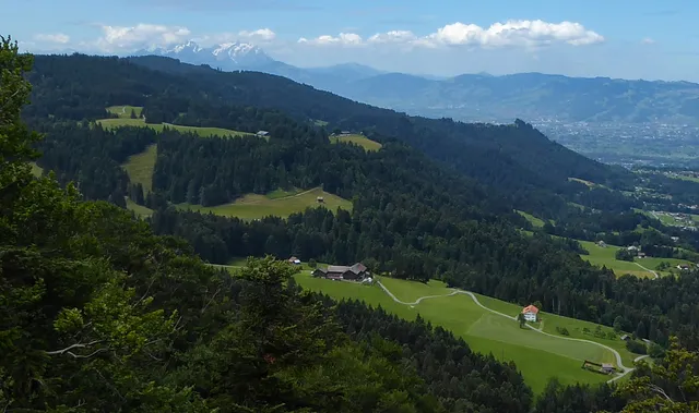 Alberschwende - Brüggelekopf