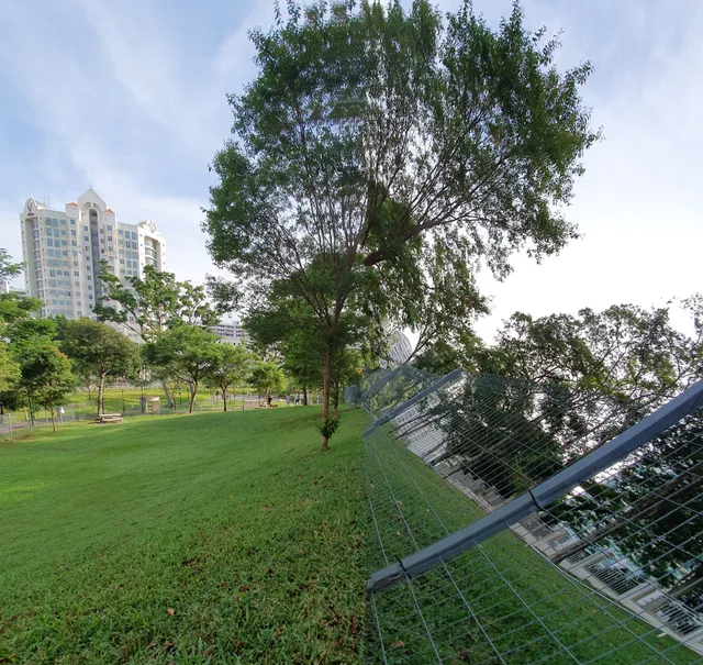 Dog Run @ Clementi Woods Park