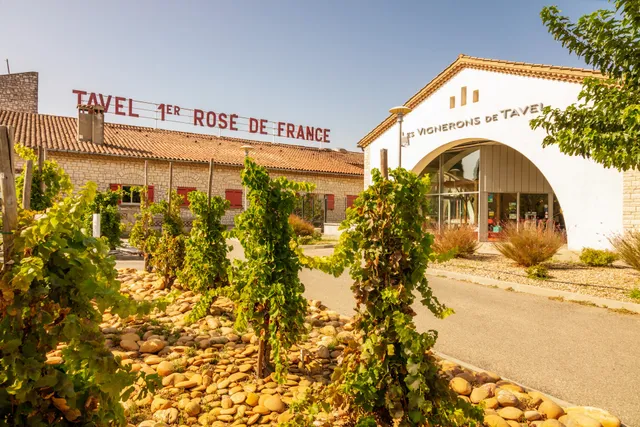 Cave des Vignerons de Tavel