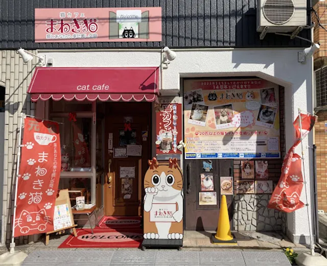 Cat Cafe "Manekineko"