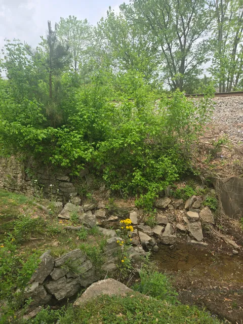 Sam T. Wilson Public Library