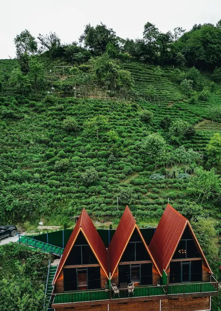 Mapavri Suit Bungalov Rize Bungalov