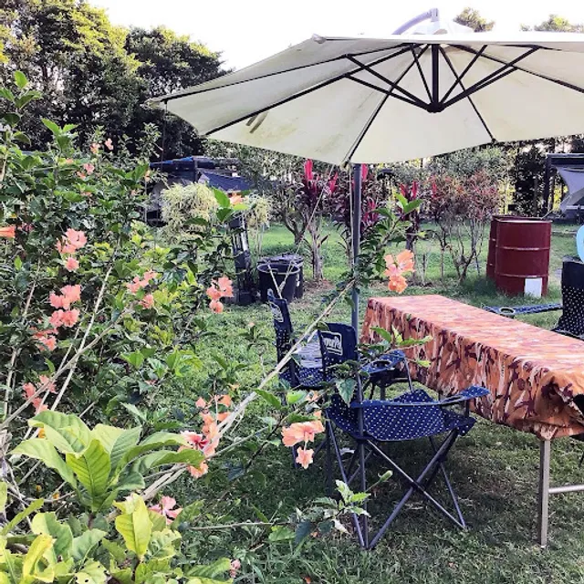 TI VOGLIO BENE Organic italian