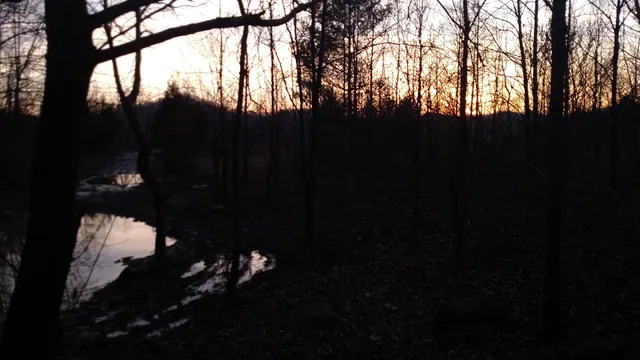 Hatfield McCoy Trail #10 Entrance