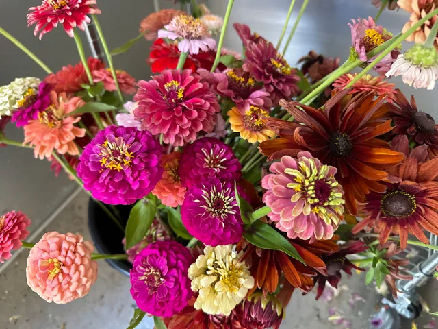 La Finca Flower Farm