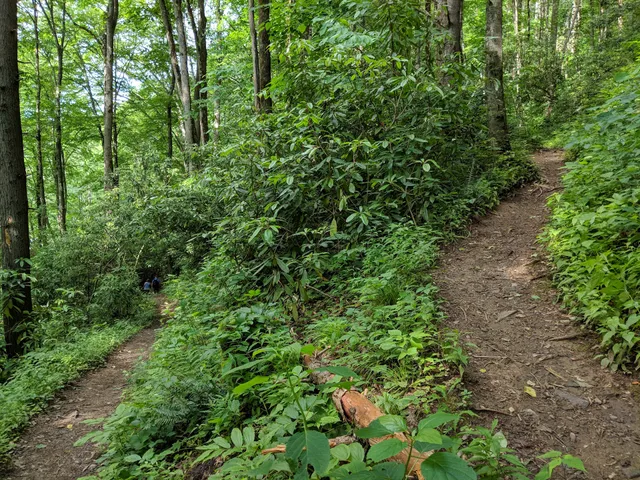 Appalachian Trail