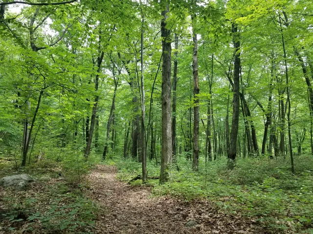 Berkshire Valley State Wildlife Management Area