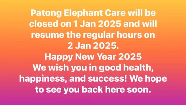 Patong Elephant Care