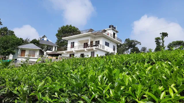Vagamon Haze Canyon Resort