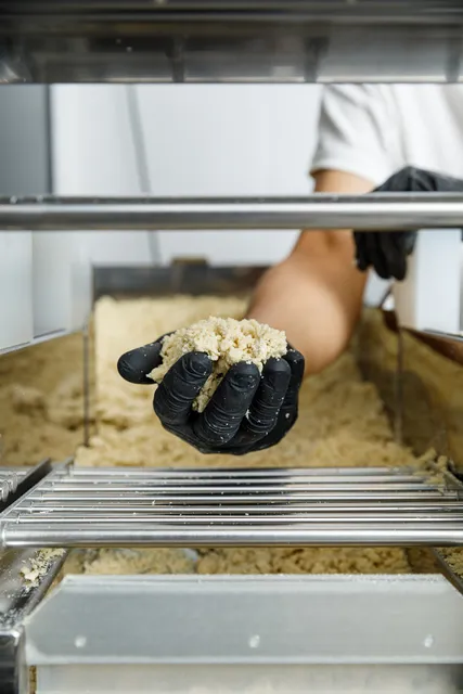 Ryukishin Cortes Valencianas