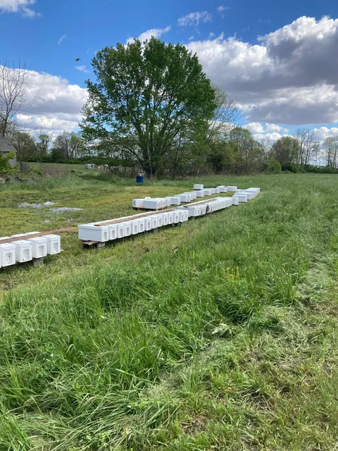 Combs Bee Farm