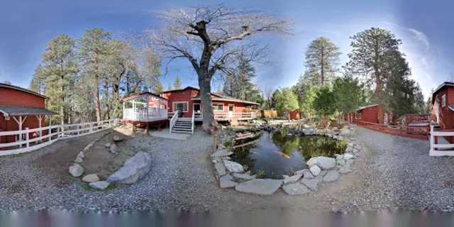 Silver Pines Lodge