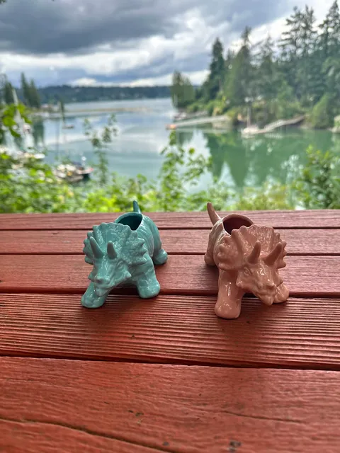 Radical Roots Collective