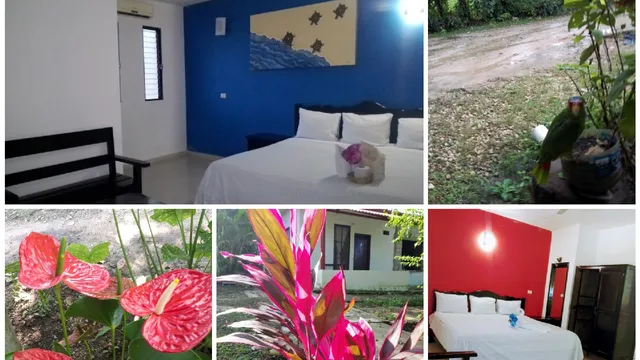 Cabañas El porvenir