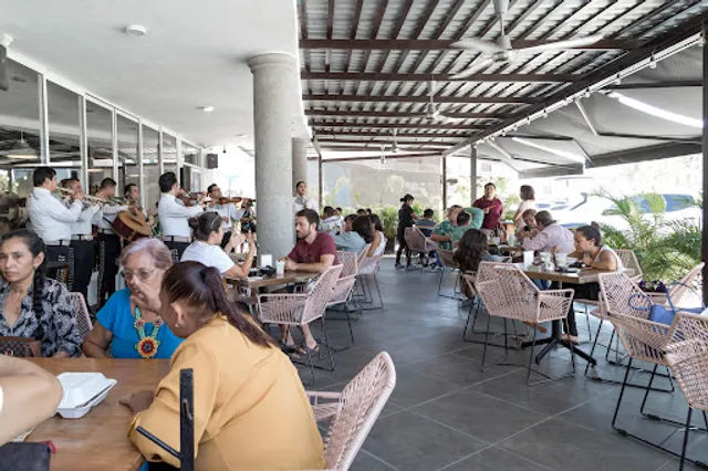 Paninos Nuevo Vallarta