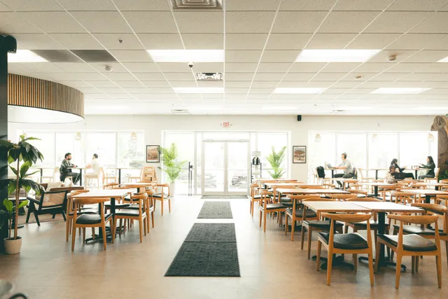 Qamaria | Yemeni Coffee Co.