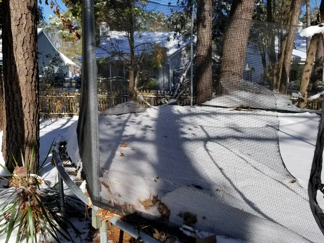 Mount Pleasant Recreation Department