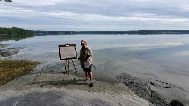 Carol L. Douglas Studio