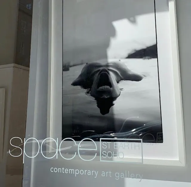 Space Gallery St Barth
