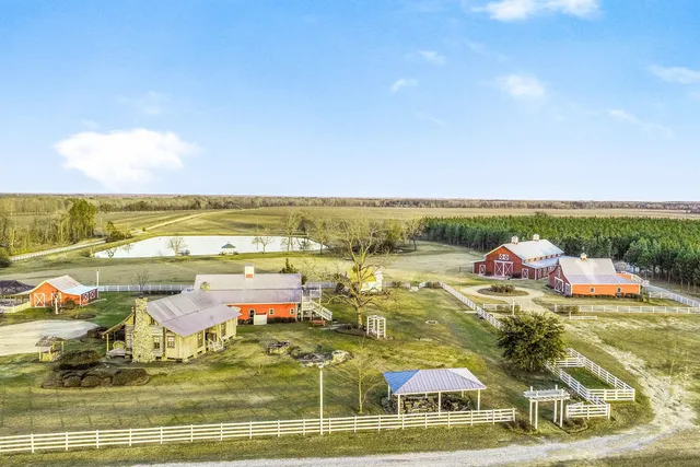 United Country | Low Country Auction