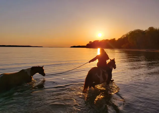 Grove Point Stables LLC