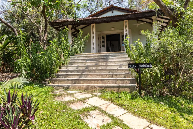 Wildflower Villas An Eco-luxury Hideaway