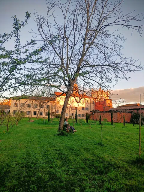 Sorelle di Maria Stella del Mattino