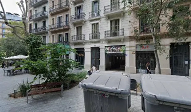 Carrer del Consell de Cent, 273