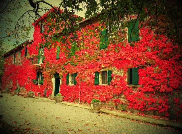 Agriturismo Casanuova