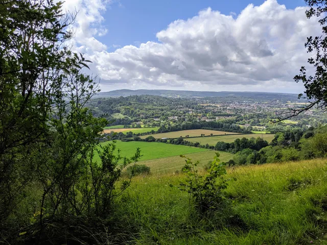 Surrey Hills National Landscape