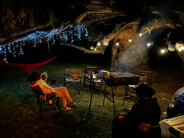 Alpine Swift Campsite