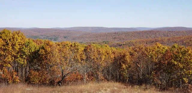 St. Francois Mountains